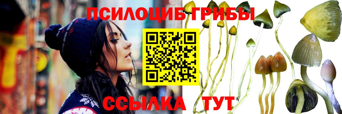 Мирный  закладка  Вход с VPN  Галлюциногенные грибы Psilocybe 